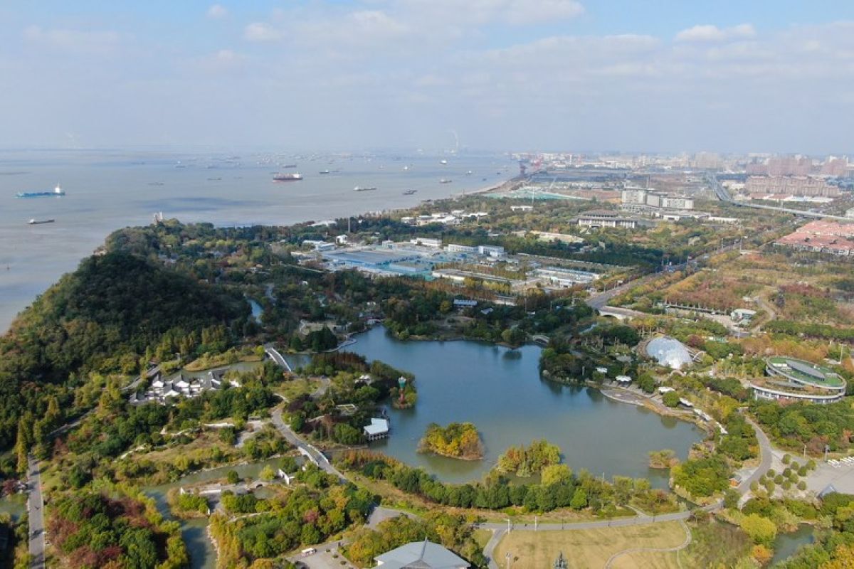 Muara Sungai Yangtze mengalami perbaikan ekologi