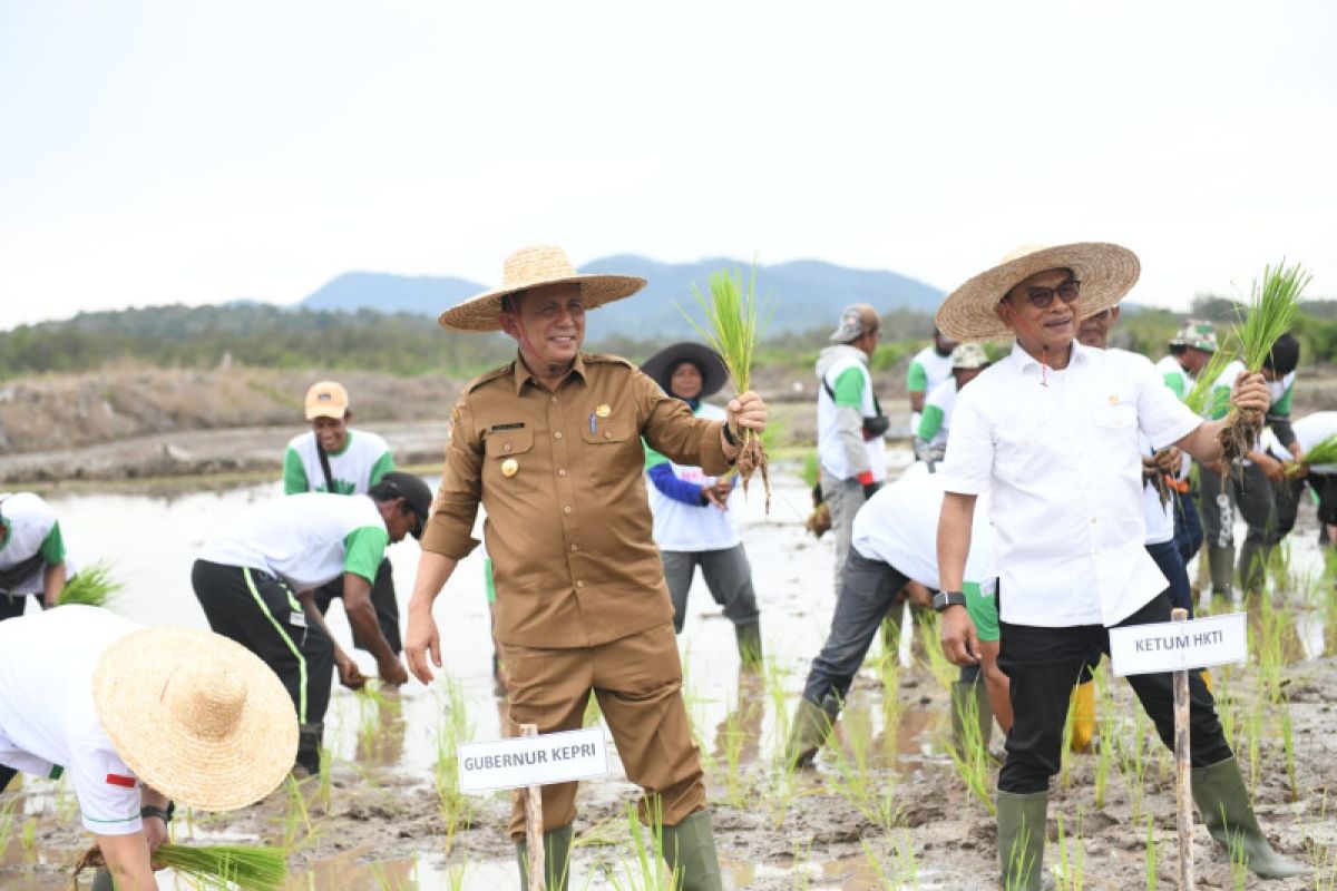Gubernur Ansar dan Moeldoko tanam padi di Lingga