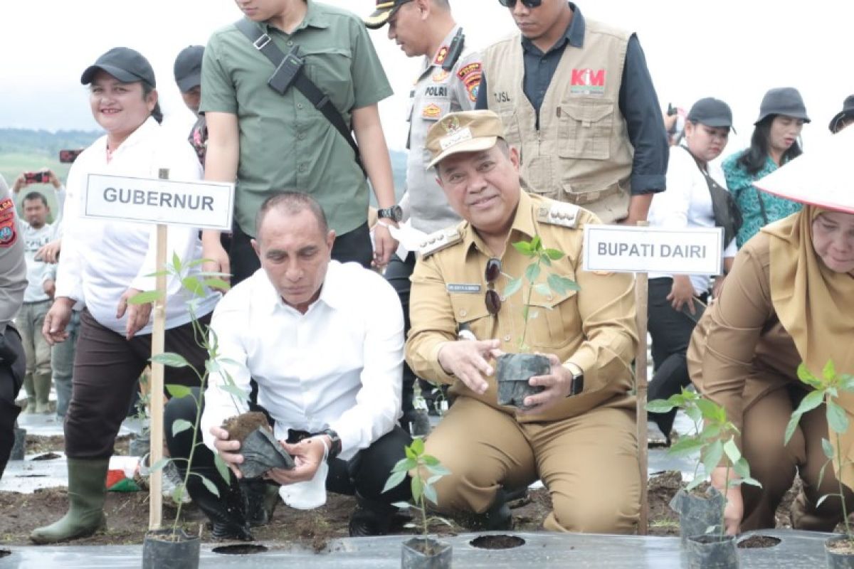 Gubernur Sumut  resmikan kawasan pertanian terpadu di Dairi