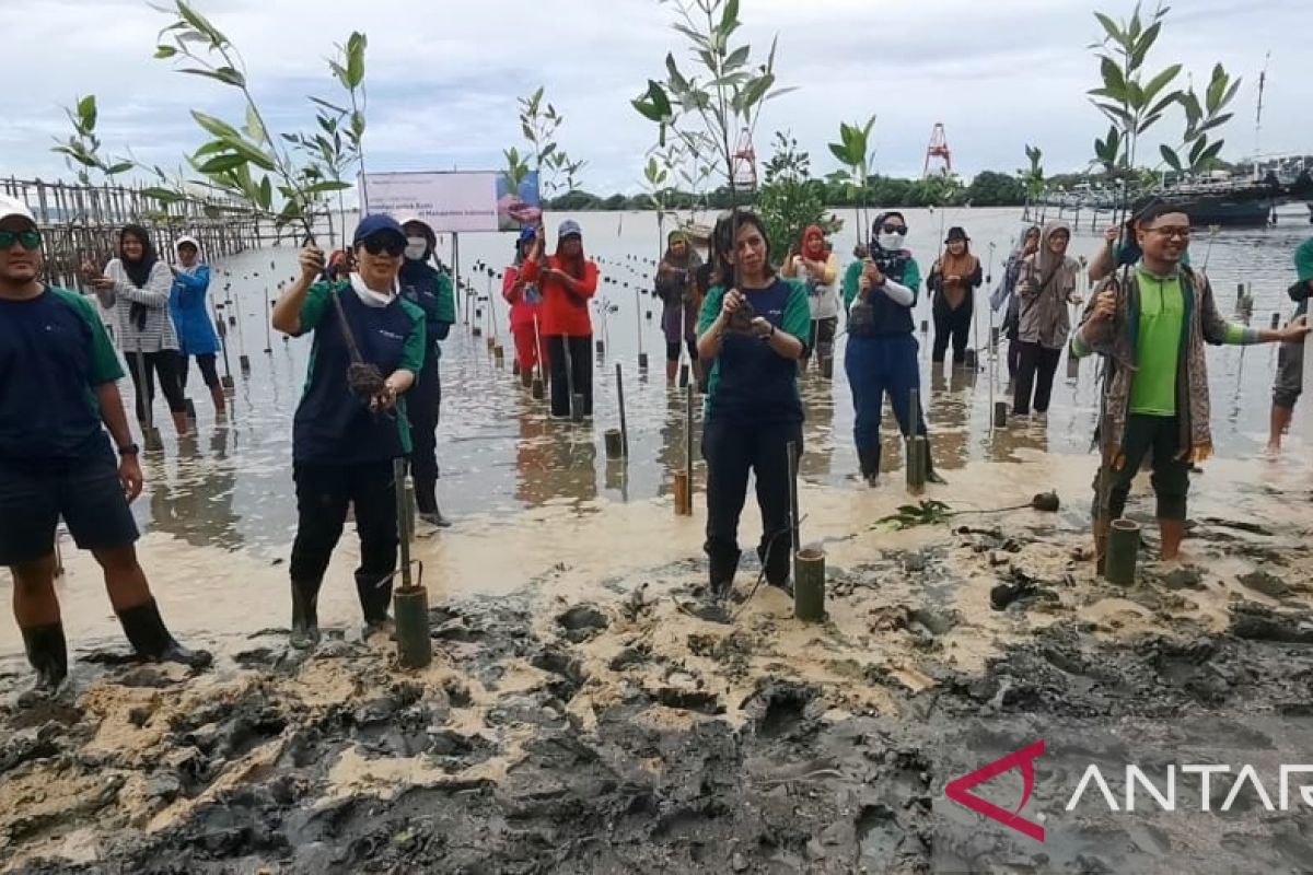 Tanam 1.000 Pohon di Pandeglang, Investasi Manulife Aset Manajemen Indonesia untuk Bumi