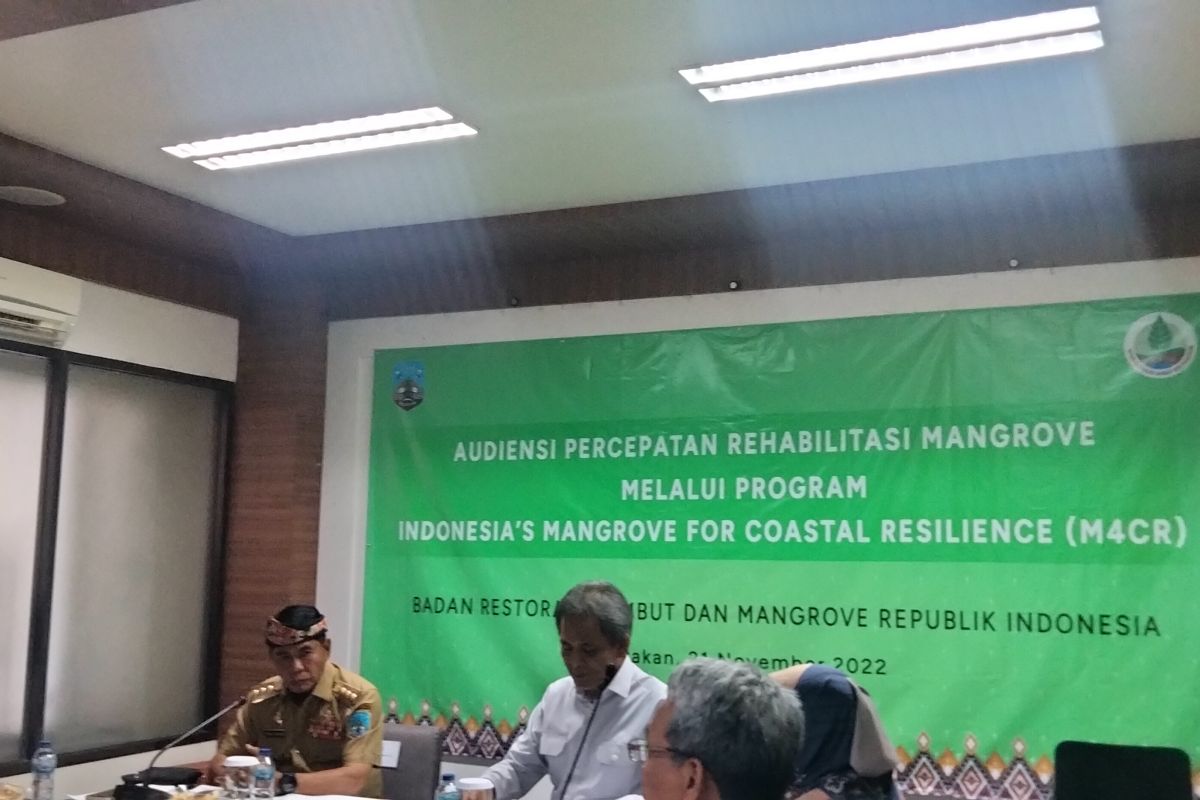 Bank Dunia bantu program rehabilitasi mangrove di Kaltara