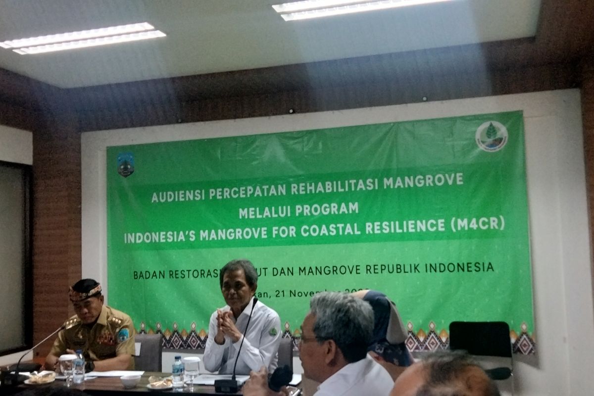 Gubernur: Rehabilitasi mangrove bakal dibantu Bank Dunia