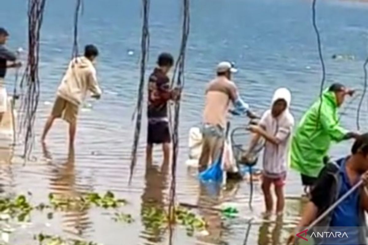 Warga tangkap ikan yang muncul di Danau Maninjau