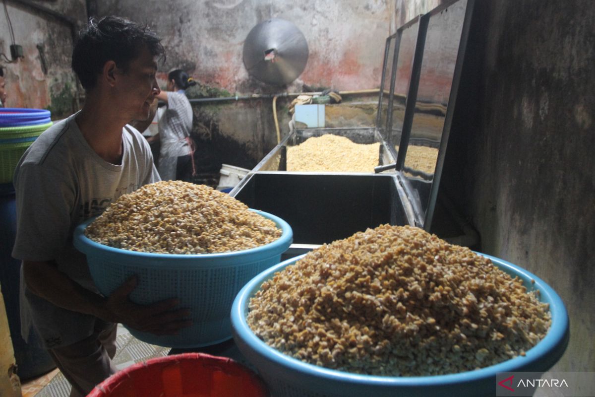 NFA asks Bulog to set up soybean supply system for tempeh producers