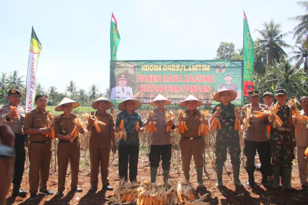 Kodim 0429 Lampung Timur panen jagung program TNI AD