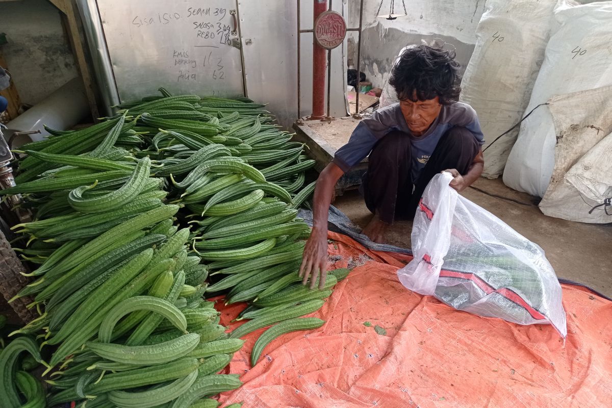 Petani Lebak minta pemerintah berlakukan subsidi harga kedelai