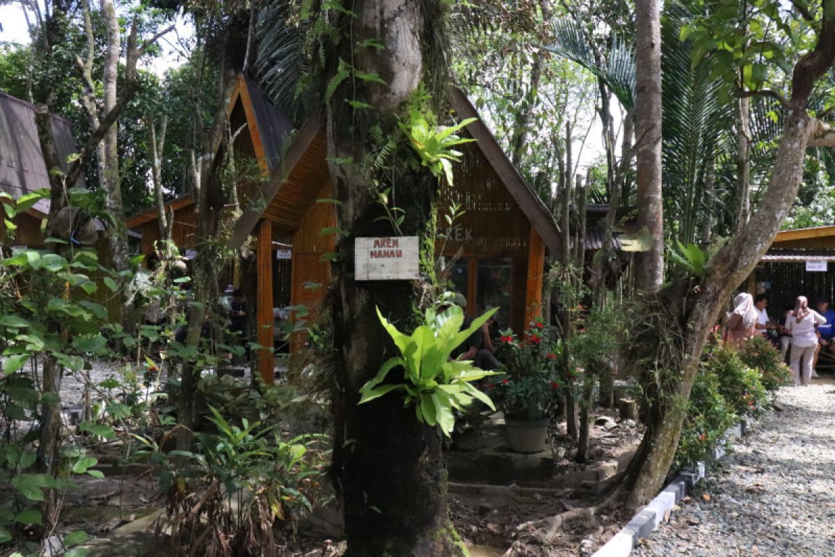 Aneka Flora Endemik Kalimantan Di Obyek Wisata Desa Balida