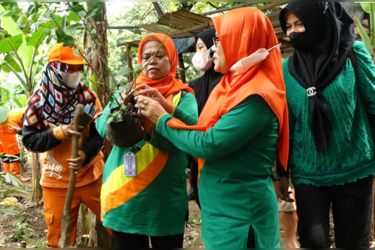 Pemkot Jaksel tanam ratusan pohon produktif di Mampang
