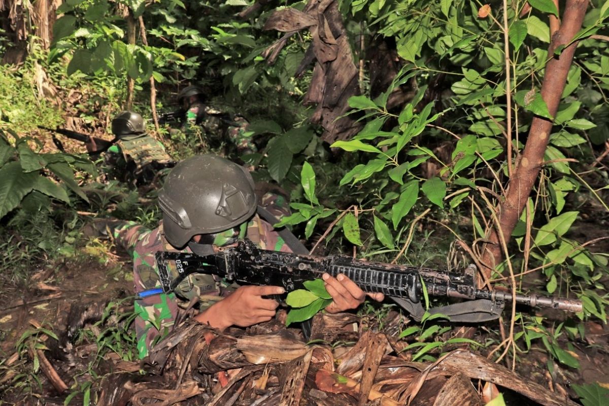 Prajurit Brigif 2 Marinir latihan tempur aspek darat di Malang