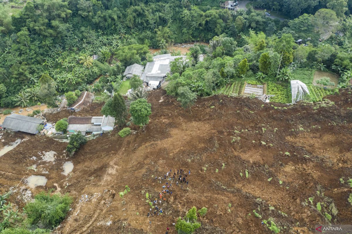 Zona Sesar Cimandiri subur rawan gempa