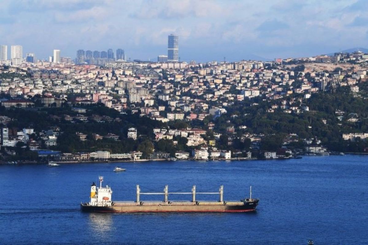 Turki berencana akan produksi tepung dari gandum Rusia untuk negara miskin