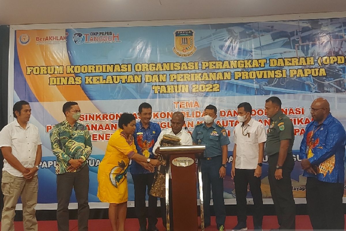 DKP Papua sinkronkan program bersama 3 provinsi DOB