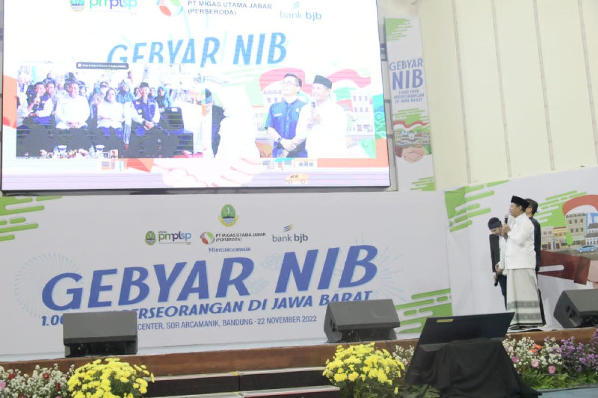 KemenKopUKM targetkan 10 juta UMKM punya NIB di 2023