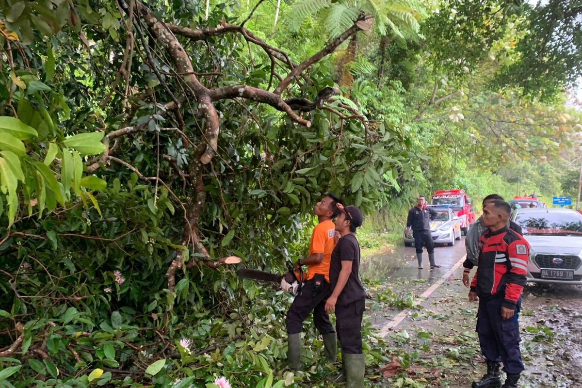 Dampak musim penghujan timbulkan 29 kejadian bencana di Agam