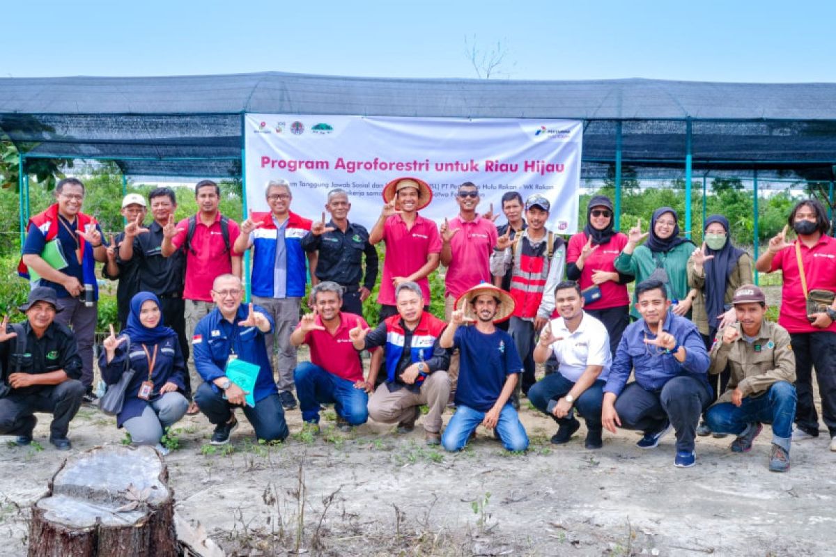 PHR kembangkan agroforestri, ekonomi masyarakat meningkat, gajah selamat