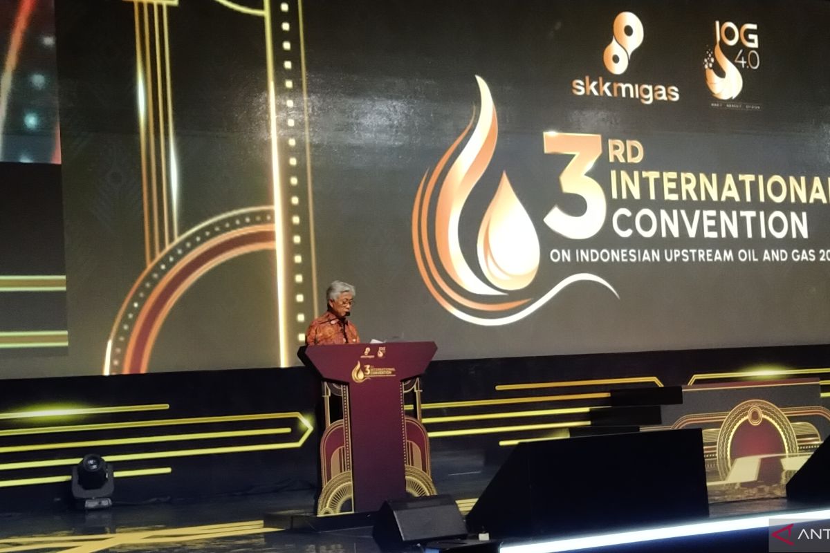 Indonesian upstream oil, gas industry needs US$179-billion investment