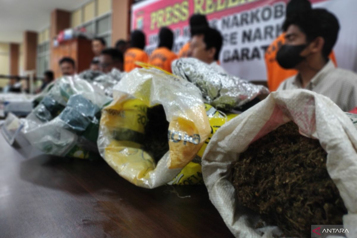 Polisi bekuk pemuda pembawa 6,3 kilogram ganja tujuan Manokwari