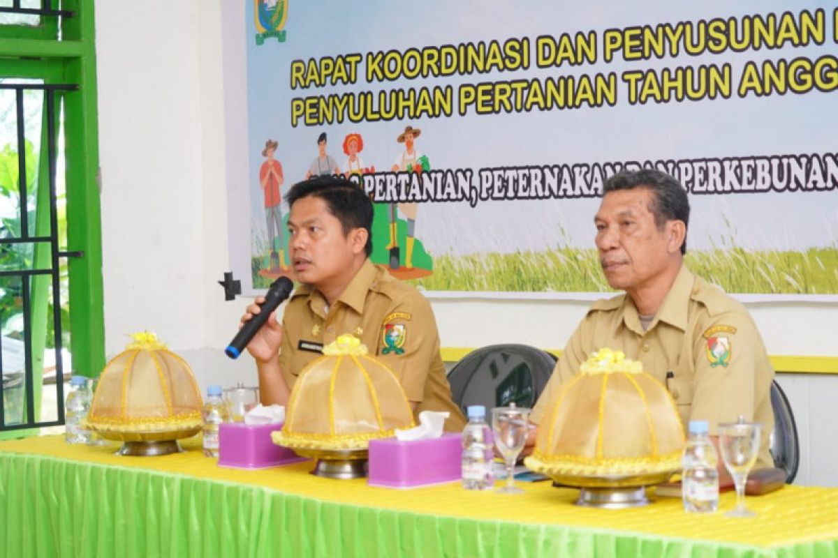 pemkab Majene petakan potensi komoditi pertanian dan destinasi ternak