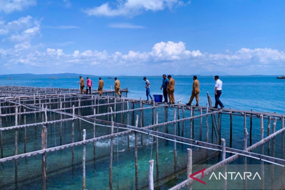 BI jajaki kerja sama sektor perikanan di Natuna