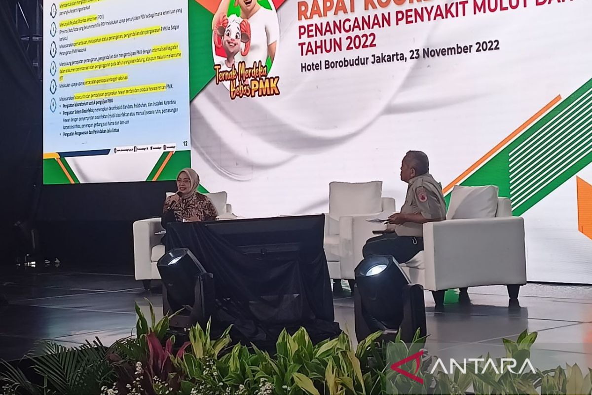 Daerah diminta segera bentuk satgas penanganan PMK