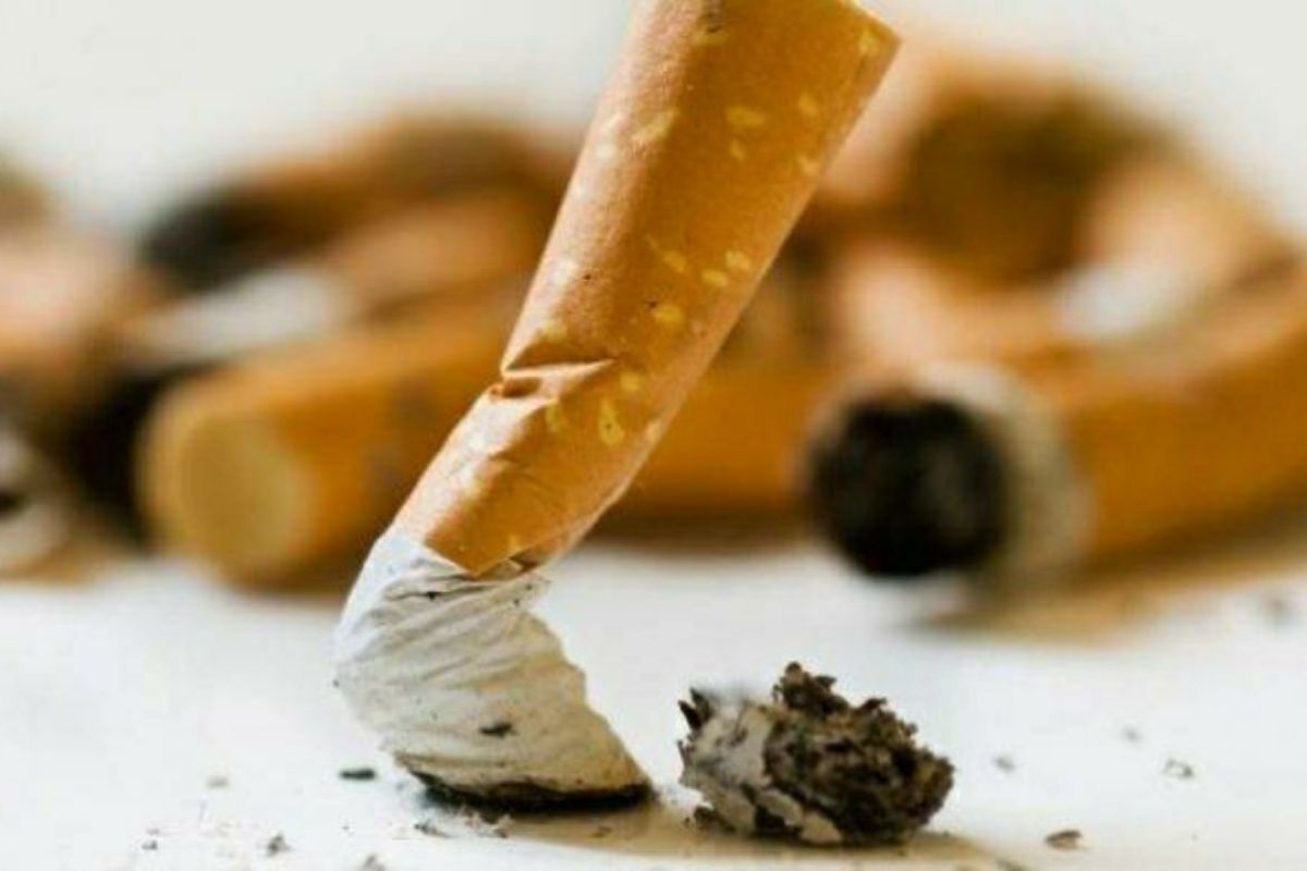 Guru Besar FKUI ingatkan perokok berisiko lebih besar kena TB