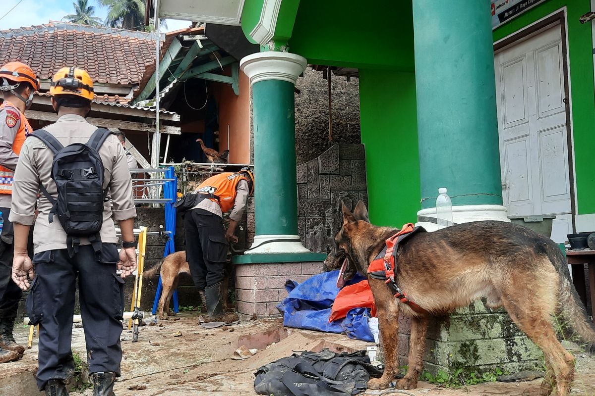 Anjing pelacak bantu Polri cari 40 korban Gempa Cianjur