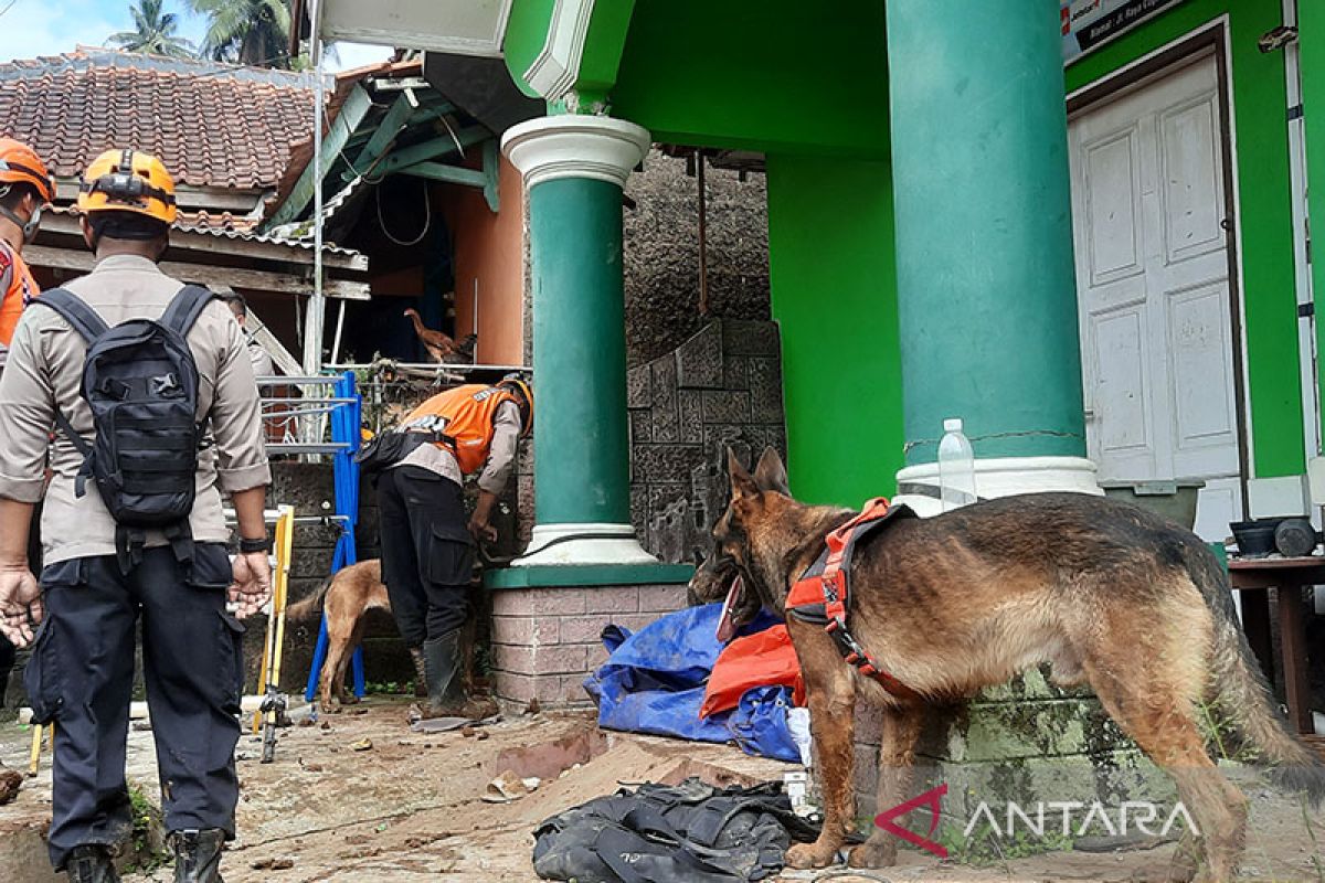 Polri kerahkan 16 anjing K-9 cari korban gempa Cianjur