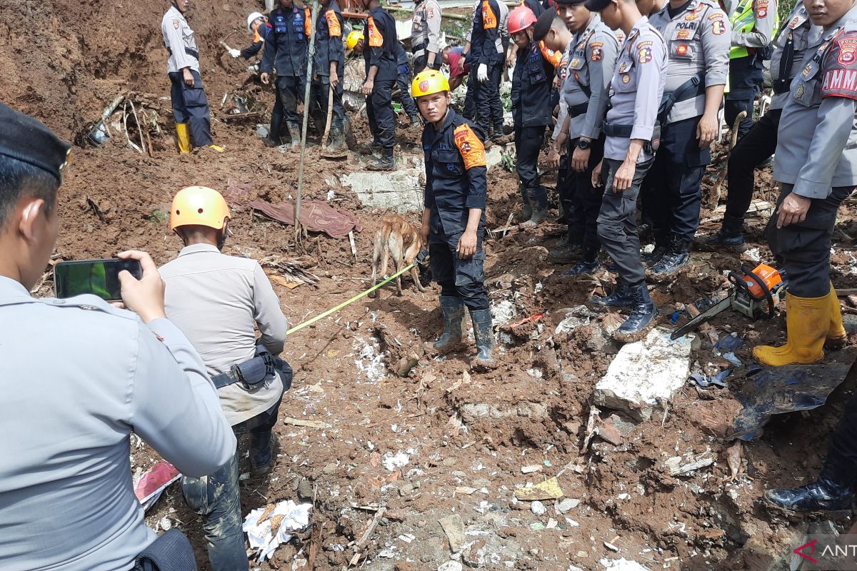 Pencarian korban gempa Cianjur, polri kerahkan 16 anjing K-9