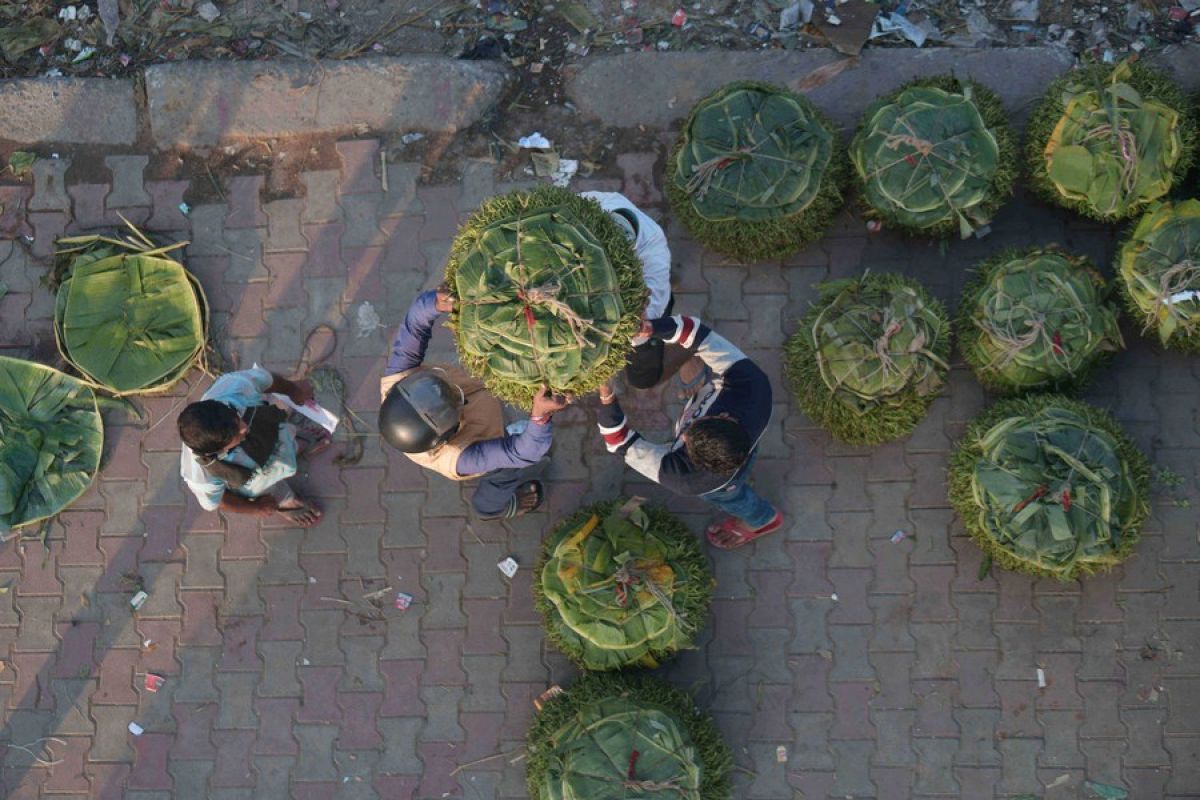 Potret hiruk pikuk pasar daun sirih di India
