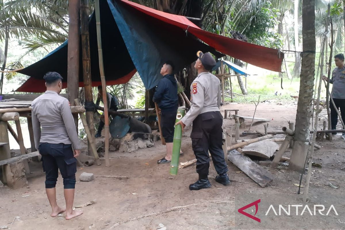 Polres Gorut amankan tempat pengolahan minuman keras tak berizin