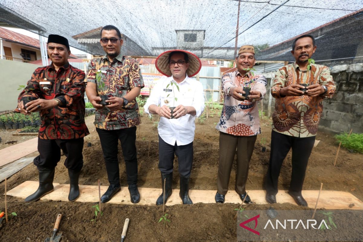 Bakri Siddiq minta warga Banda Aceh manfaatkan pekarangan rumah untuk lahan pertanian