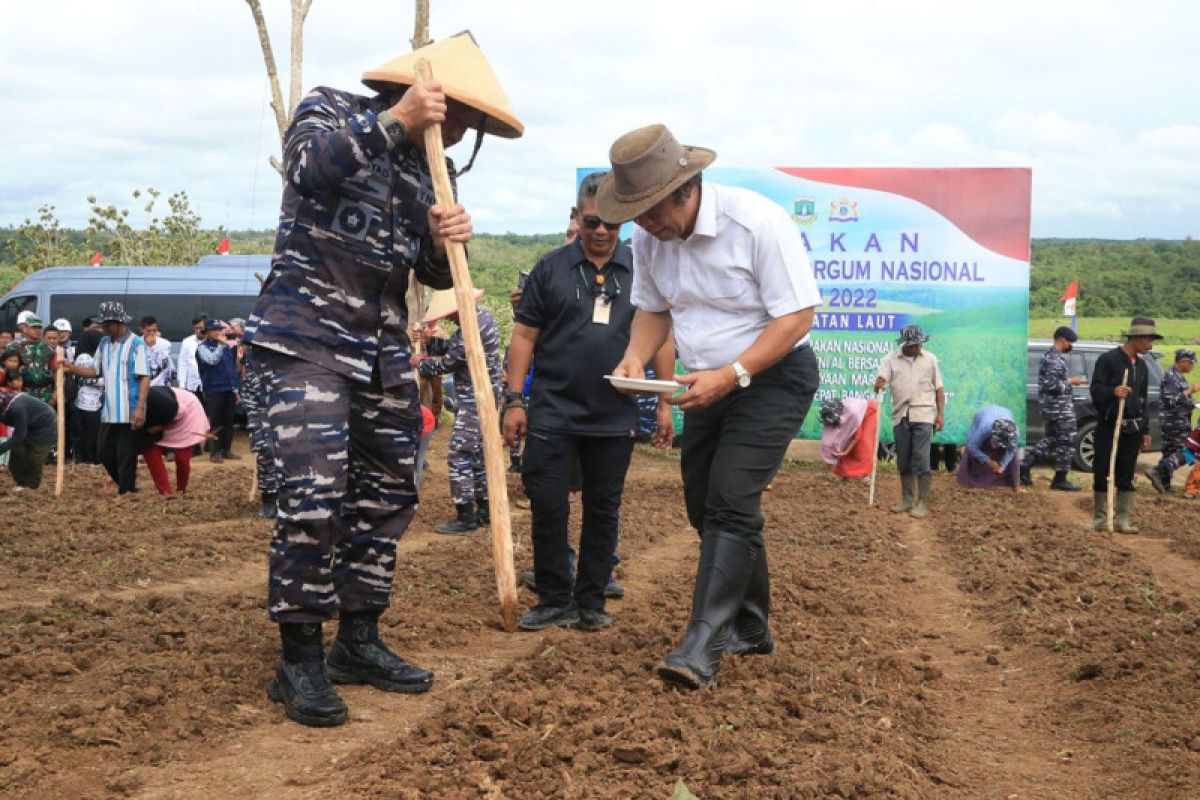 Pemprov Banten kerjasama dengan TNI AL dan Kadin dalam budidaya Sorgum