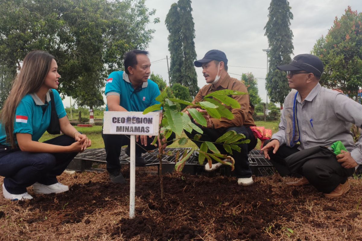 Minamas Plantation bentuk sekolah peduli api antisipasi Karhutla