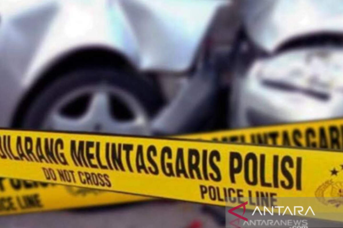 Pengendara sepeda motor tewas tabrak kerbau