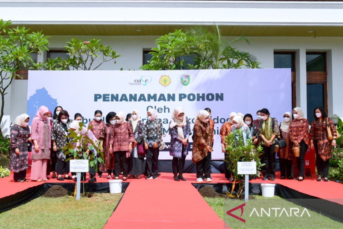 Iriana Jokowi dan Wury Amin tanam pohon di rumah dinas Gubernur Sumsel