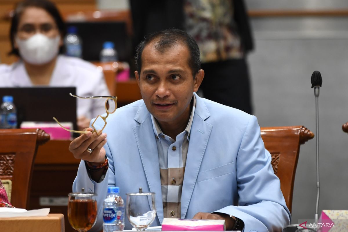 RKUHP hapus pasal pencemaran nama baik UU ITE, kabar baik iklim demokrasi