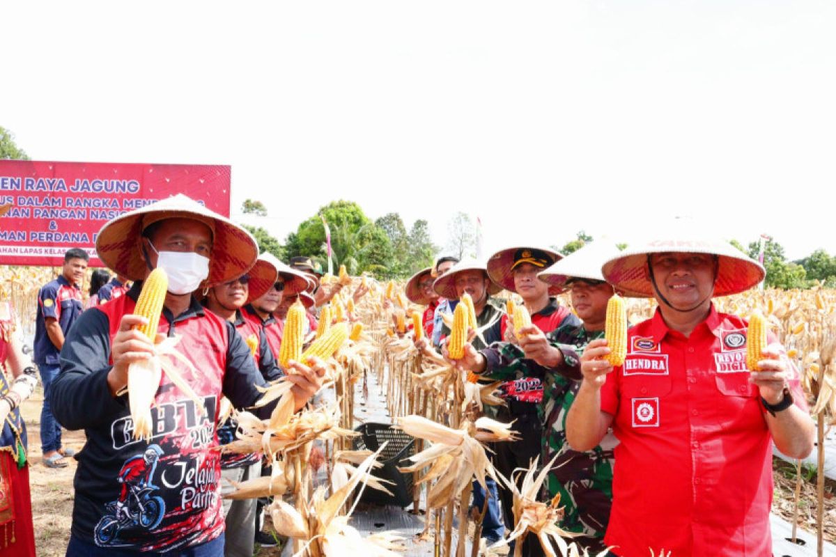 Lapas Sukamara kembangkan pertanian jagung dukung ketahanan pangan