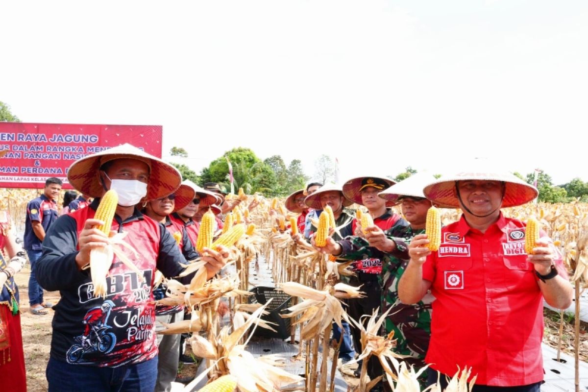 Lapas Sukamara kembangkan pertanian jagung dan cabai dukung ketahanan pangan