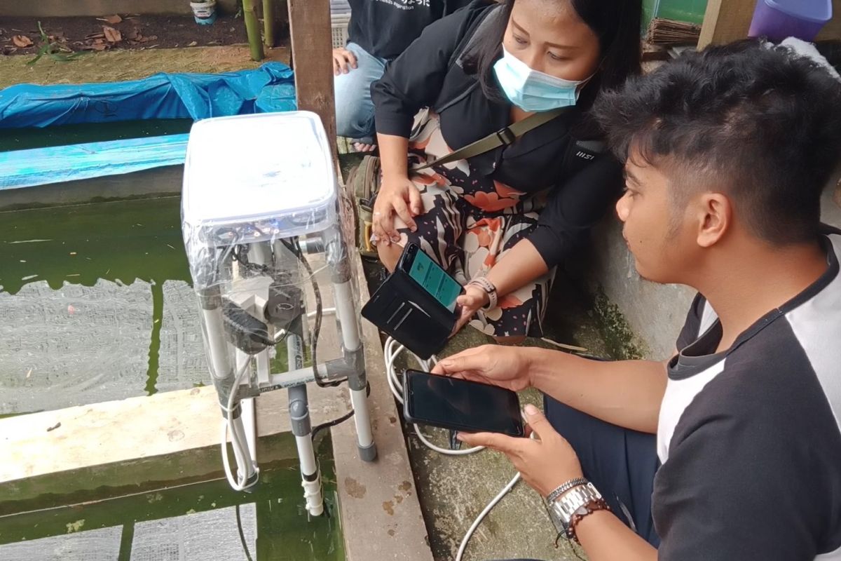 Mahasiswa bangun sistem IoT bantu UMKM ikan hias
