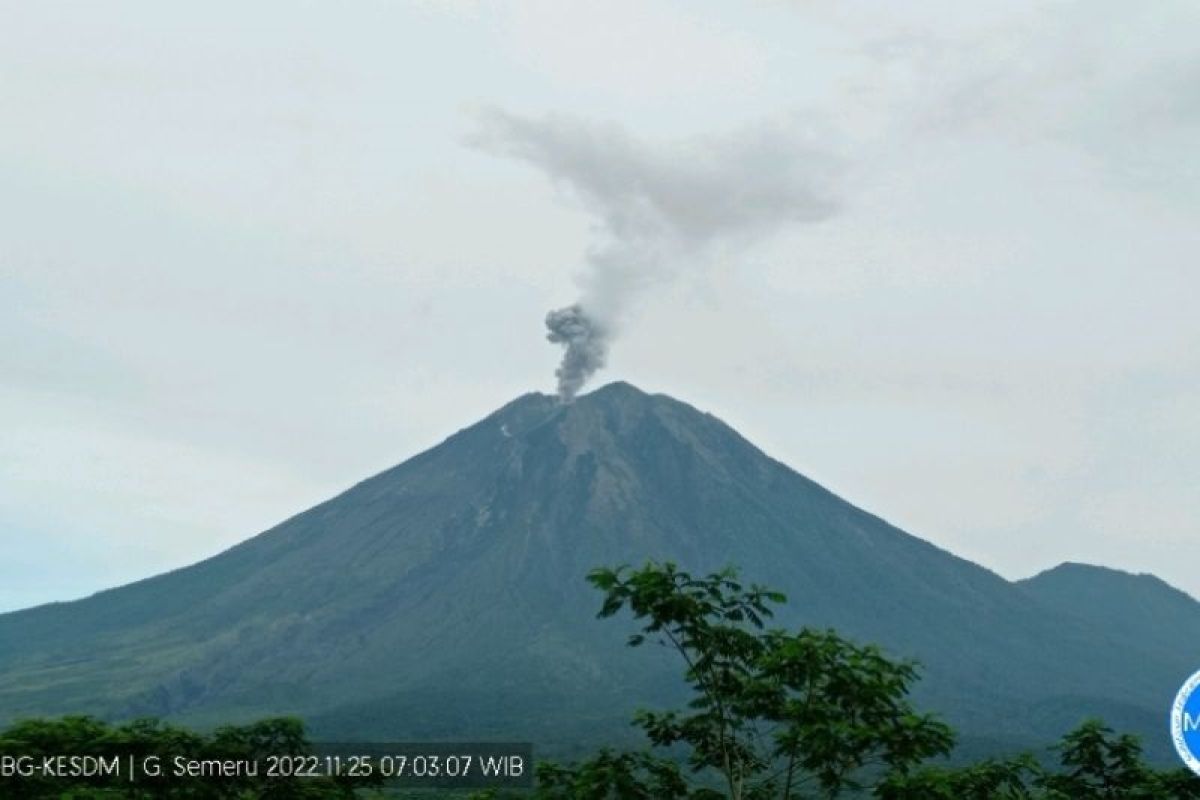 Gunung Semeru erupsi 90 detik lontarkan abu setinggi 500 meter