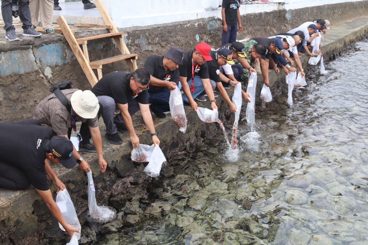 Ministry releases 3,000 clownfish seeds during Sail Tidore 2022