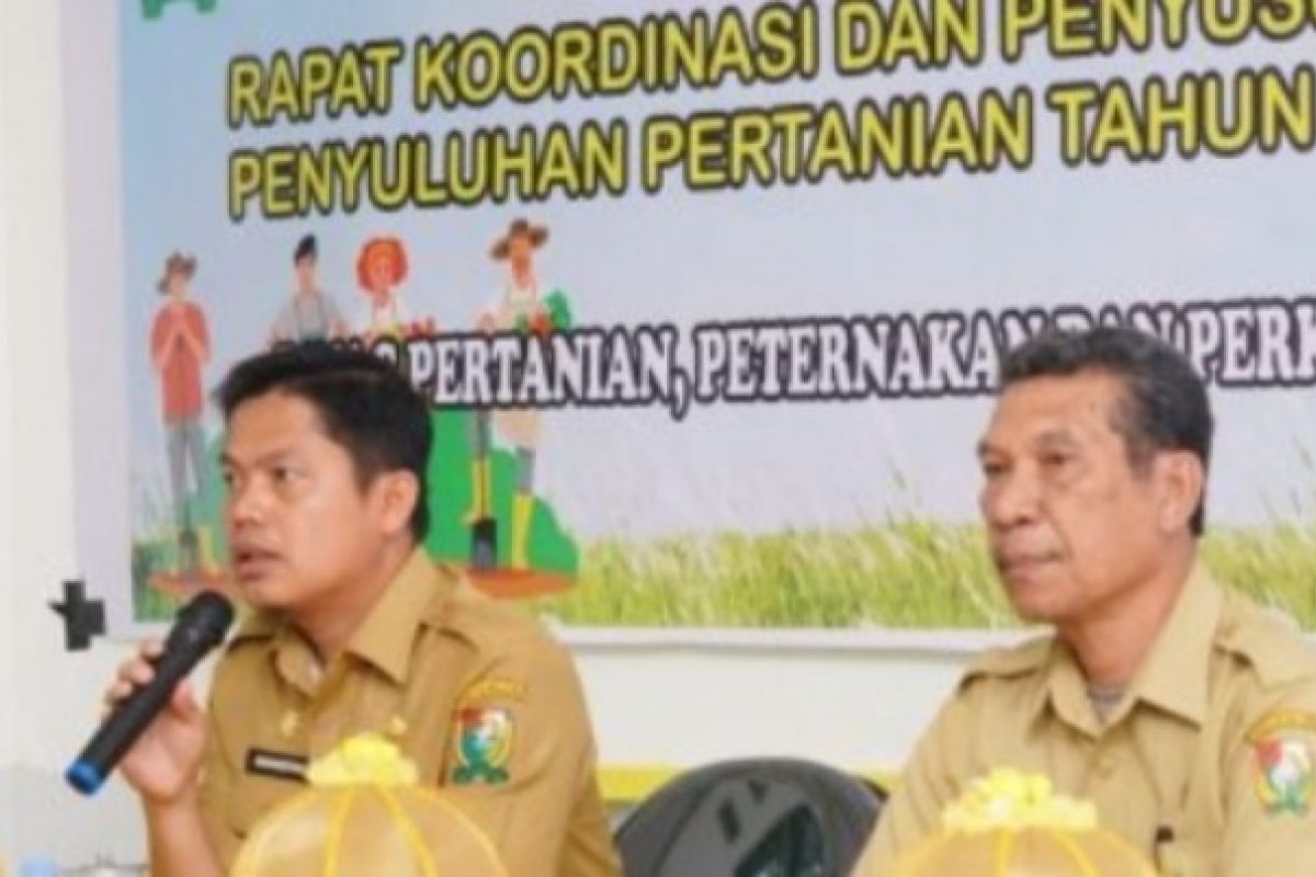 Pemkab Majane Sulbar upayakan perdagangan menguntungkan petani