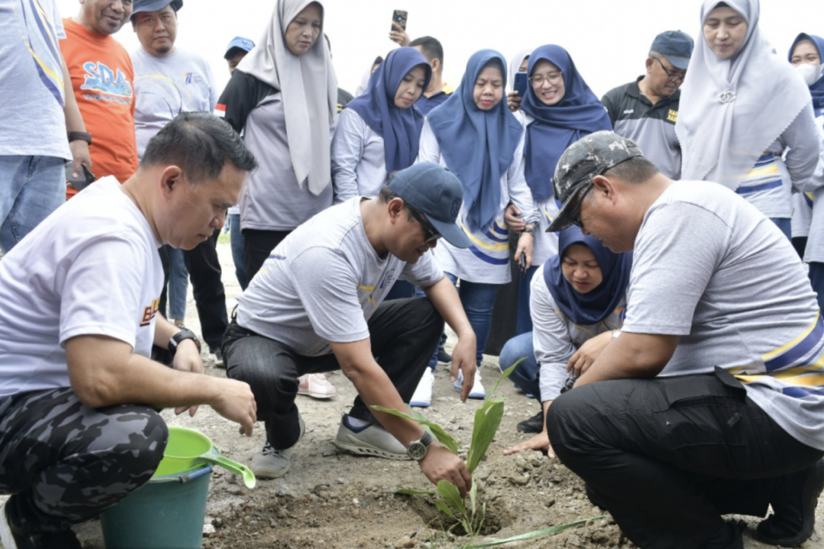 Dinas PUPR Provinsi Gorontalo tanam 150 pohon tabebuya di GORR