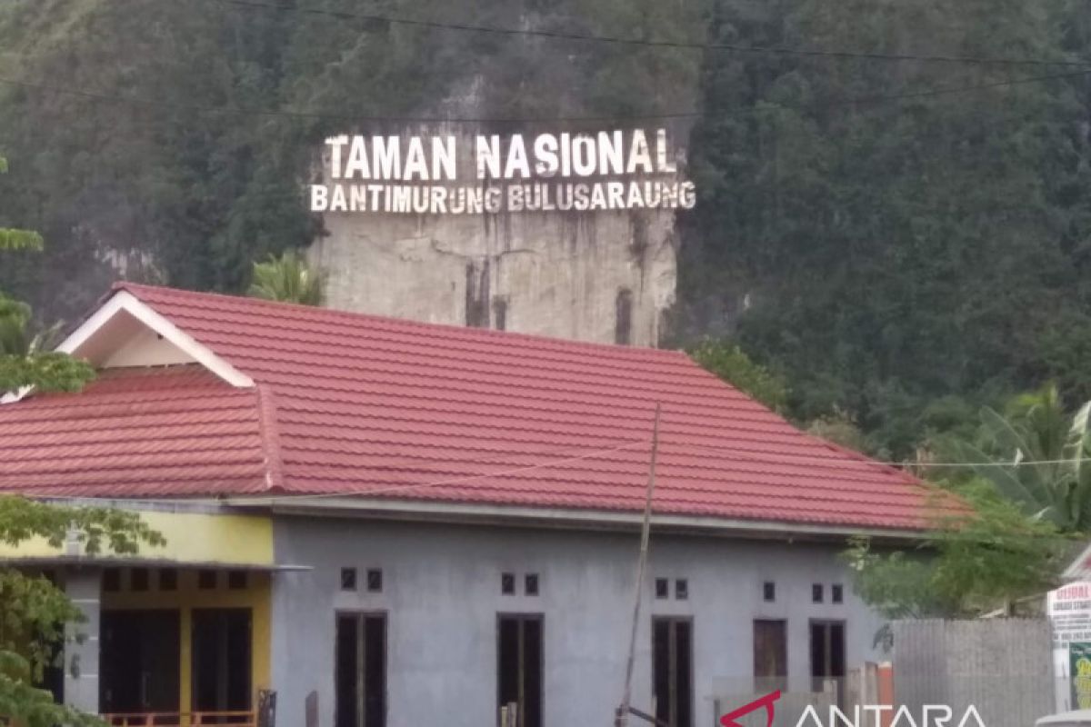 Flora dan fauna endemik di TN Babul terancam punah jika tak dilindungi