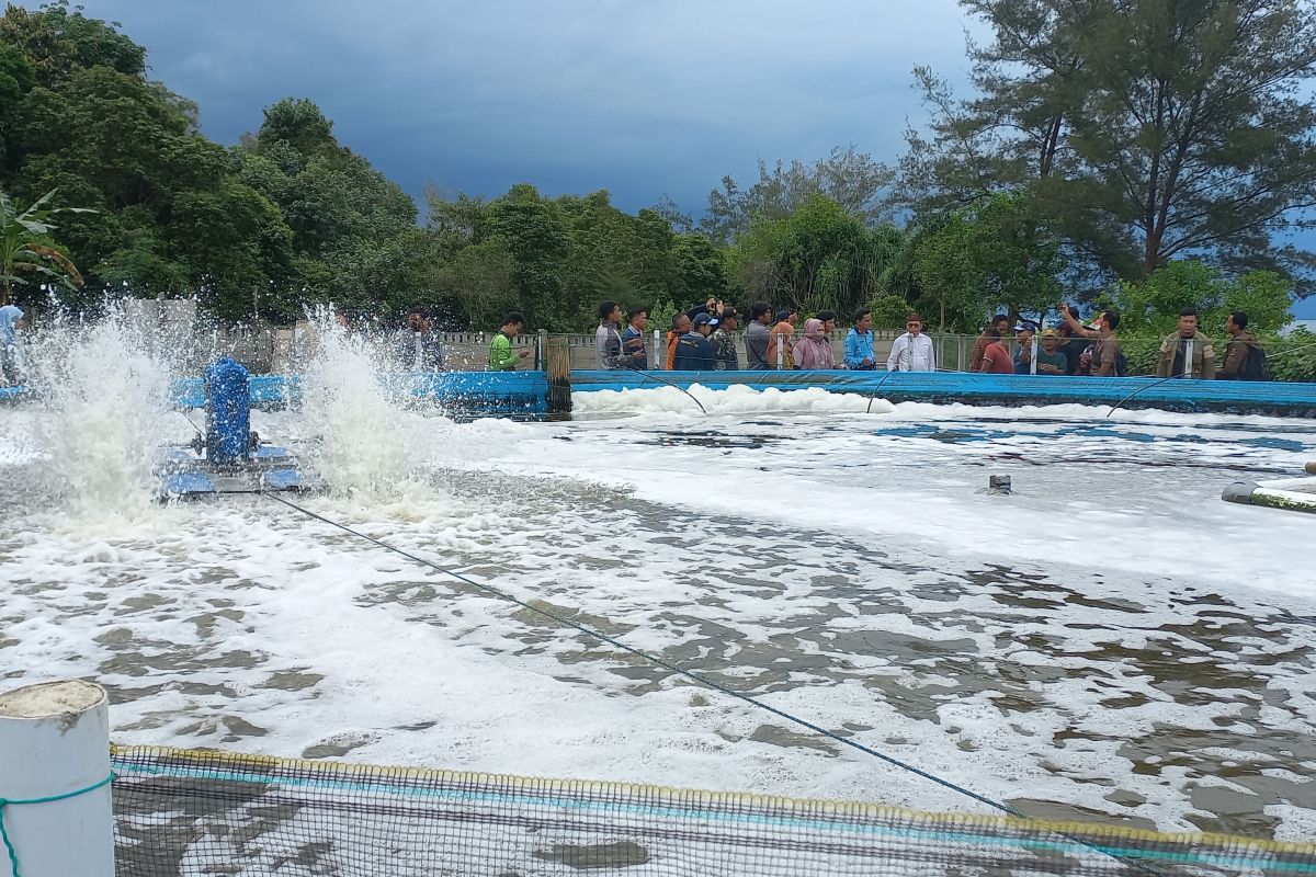 Bangka Tengah gencarkan pelaksanaan program Gemarikan