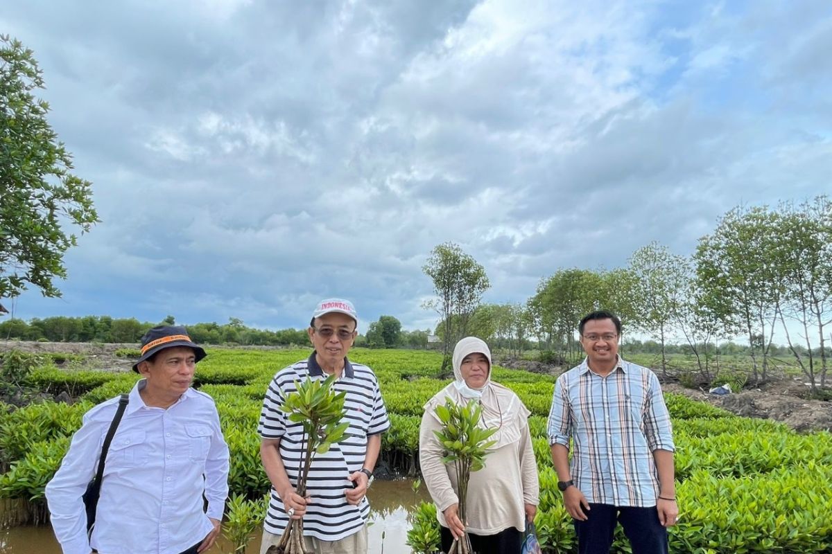 Kelompok Mangrove Peduli Pesisir terus bertanam mangrove, sesali pernyataan oknum tertentu