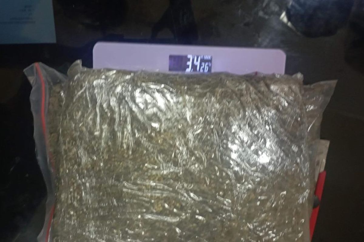 Polisi  amankan 3,4 kilogram ganja di Sigi