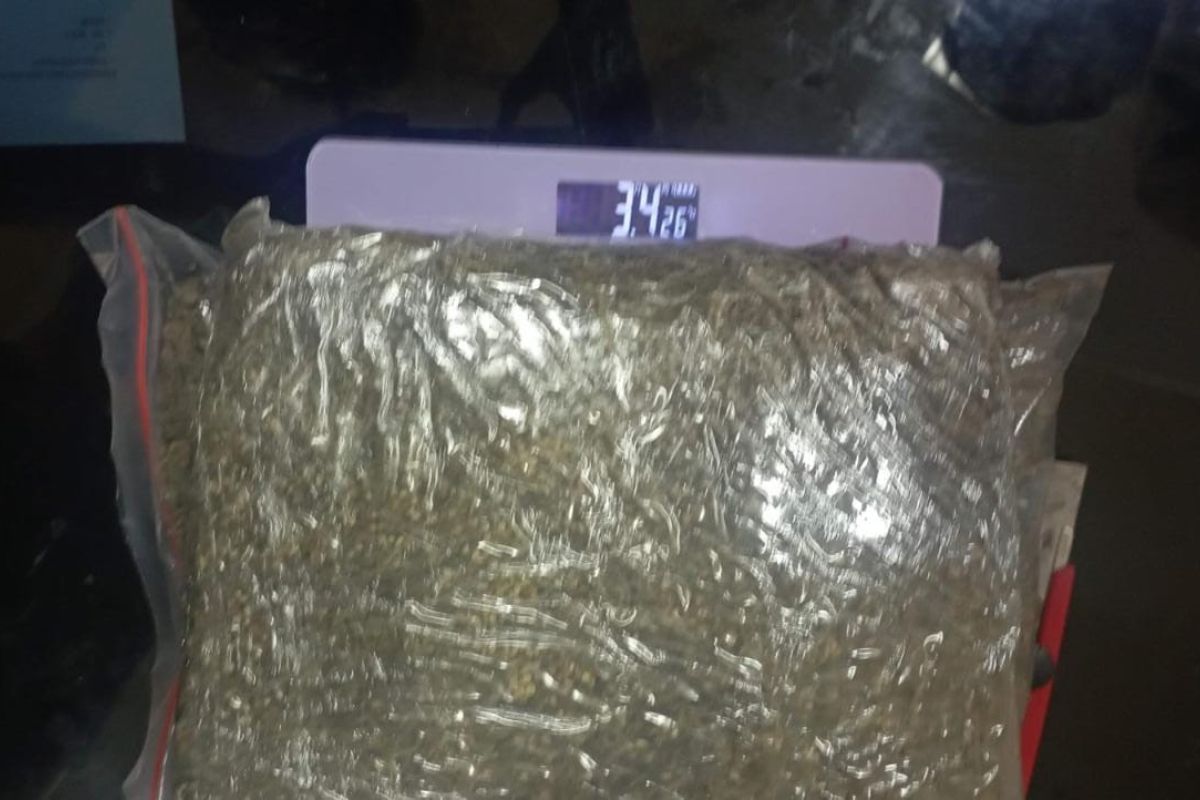 Polisi amankan 3,4 kilogram ganja di Sigi Sulawesi Tengah