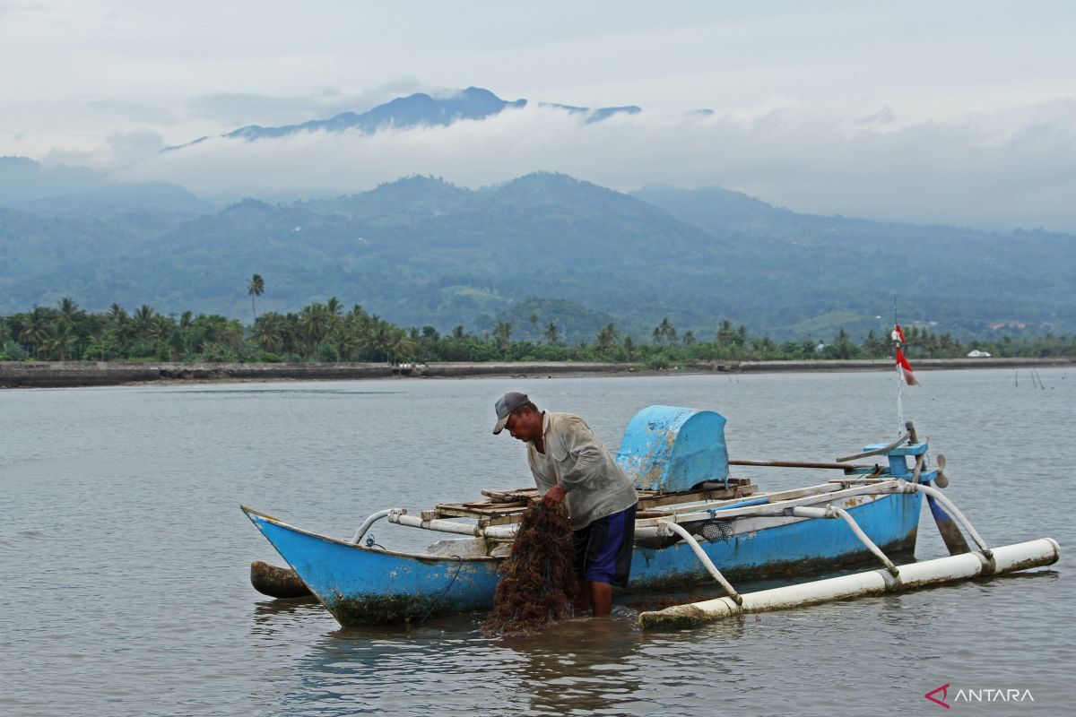 Indonesia, S Korea share knowledge on blue carbon development