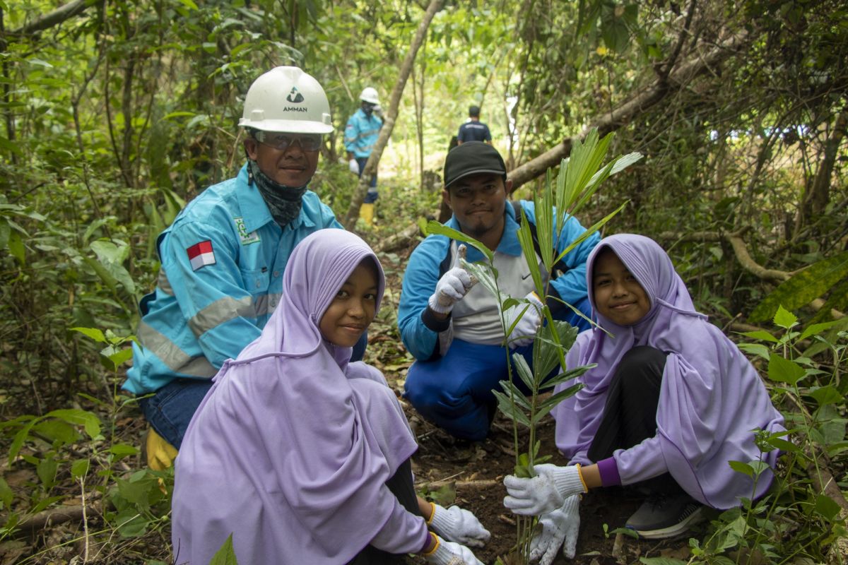 AMMAN inisiasi penanaman pohon aren berkolaborasi dengan masyarakat Desa Tongo